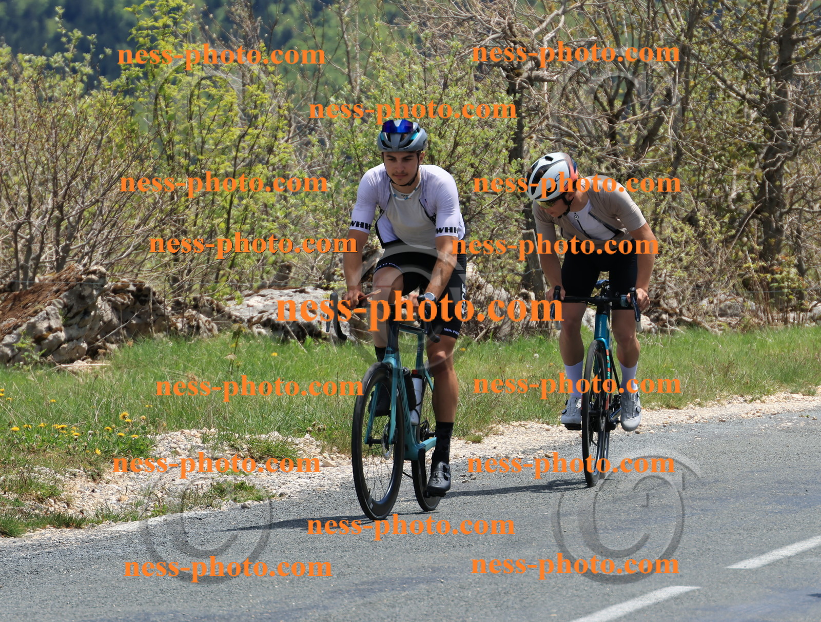 Col du Grand Colombier (539).JPG