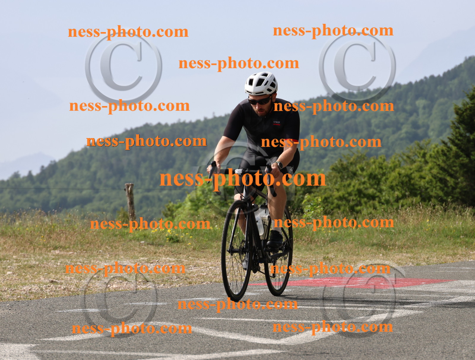 Col du grand Colombier (72).JPG