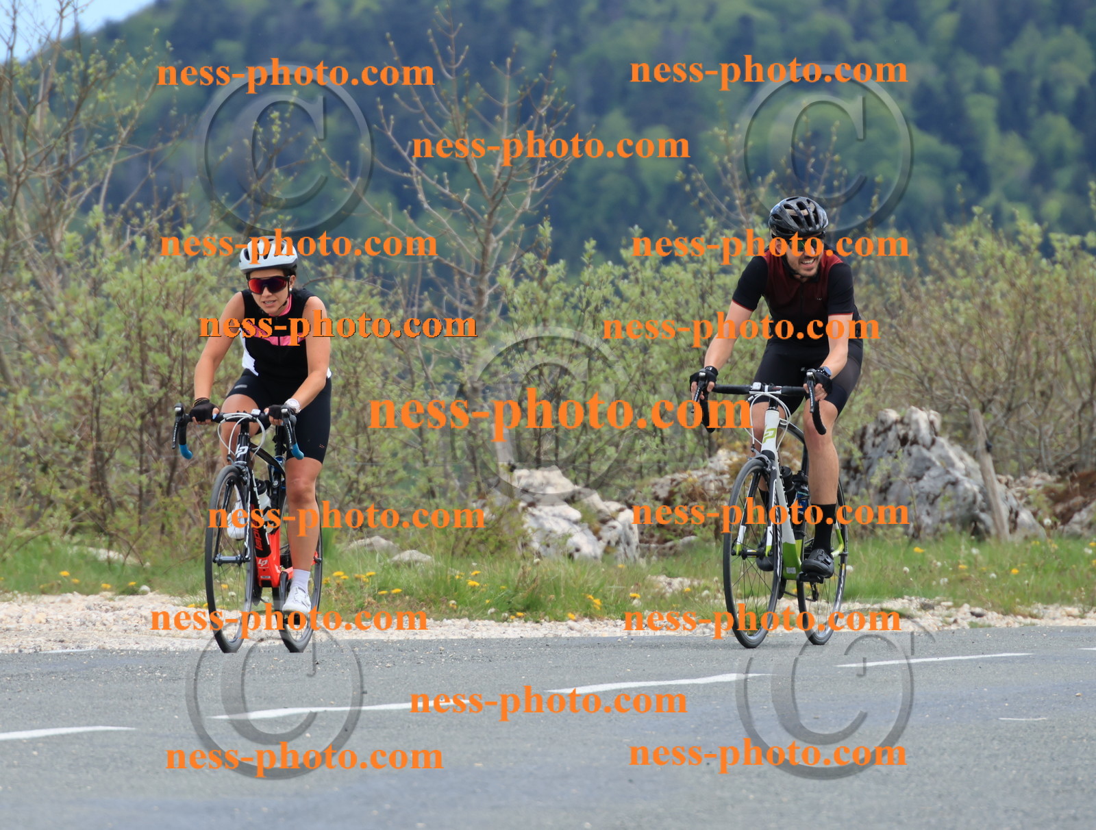 Col du grand Colombier (699).JPG