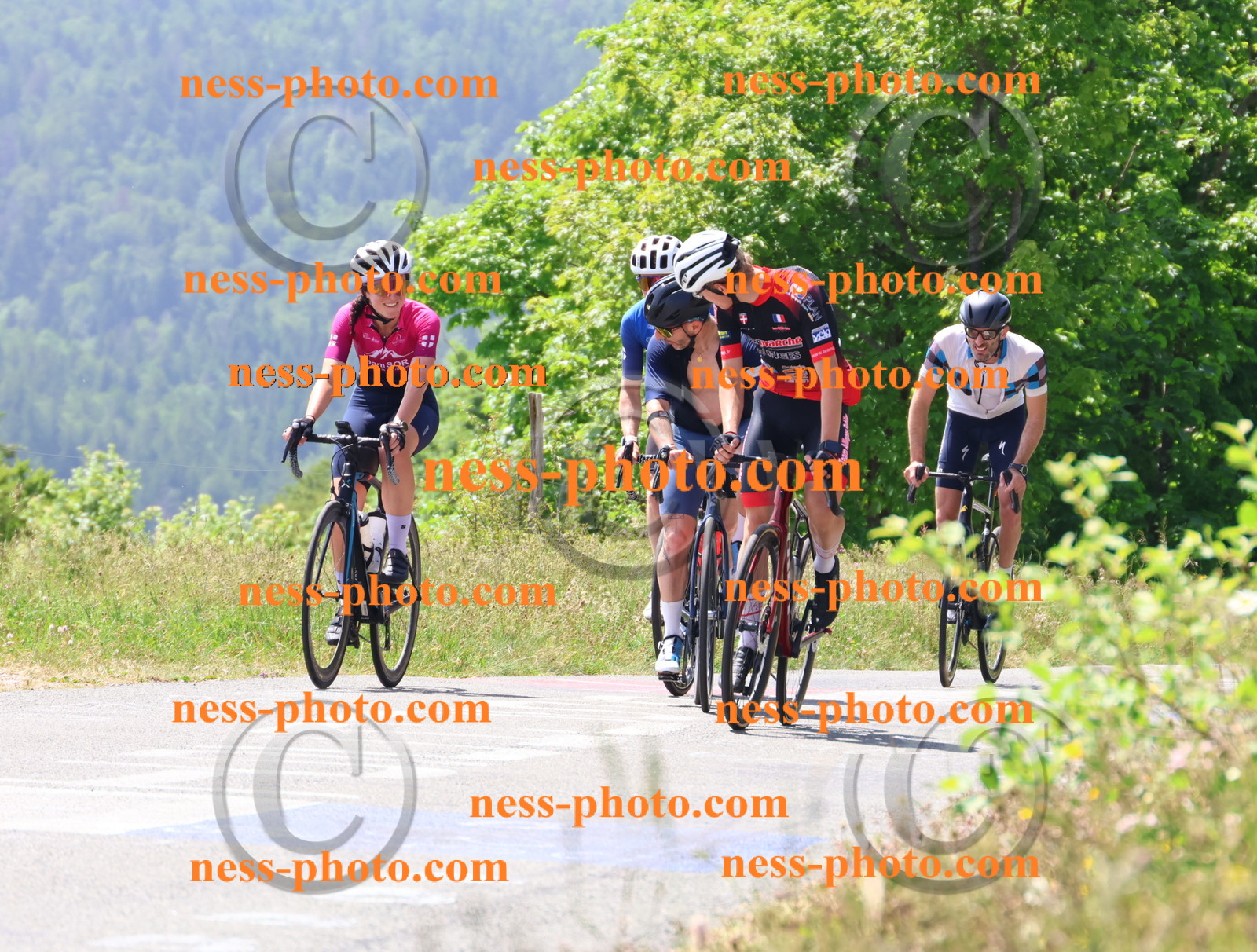 Col du grand Colombier (2417).JPG