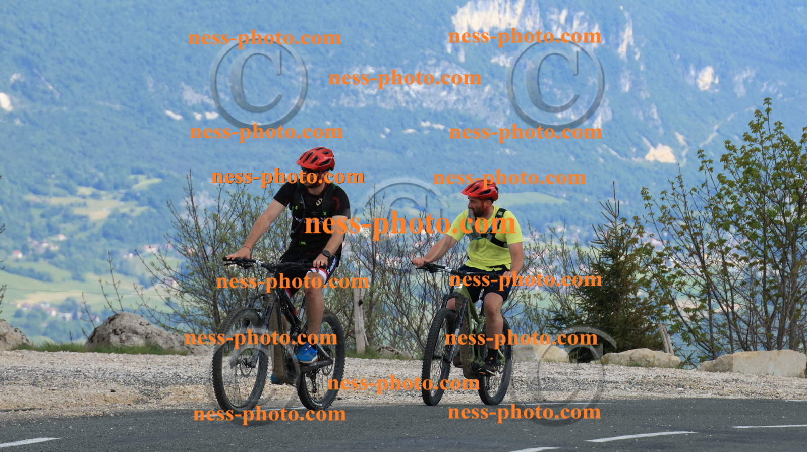 Col du grand Colombier (787).JPG