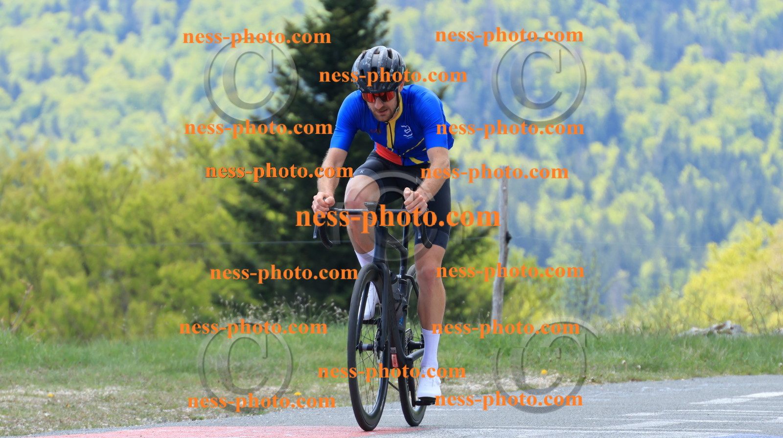 Col du grand Colombier (201).JPG