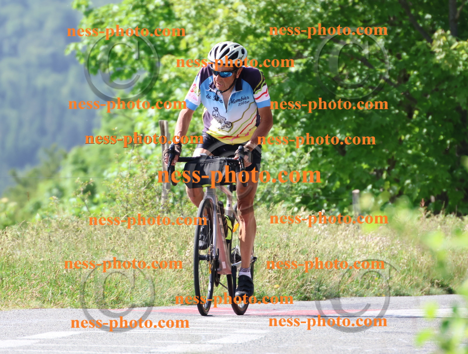 Col du grand Colombier (516).JPG