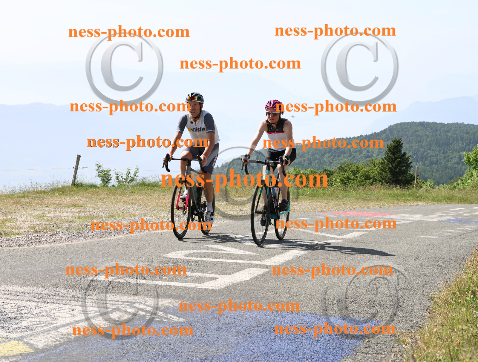 Col du grand Colombier (890).JPG