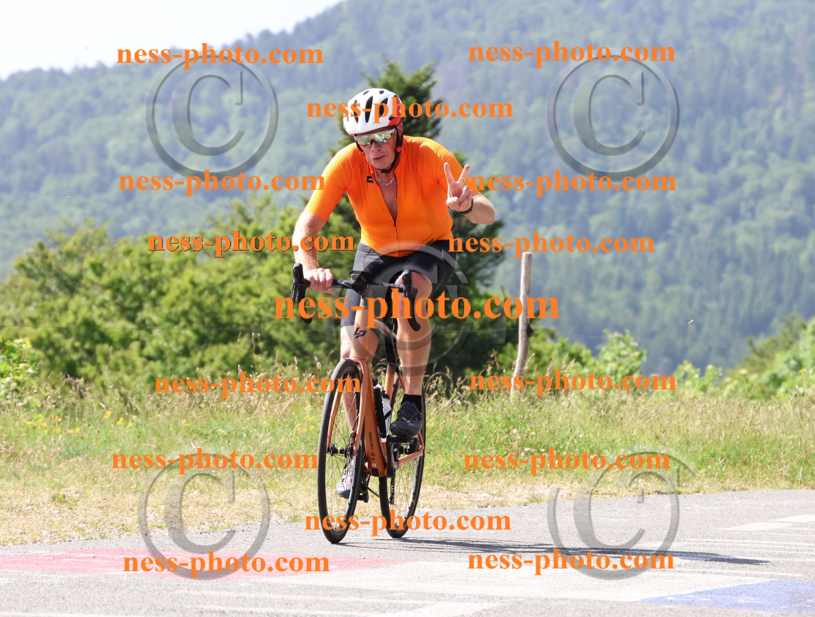 Col du grand Colombier (913).JPG