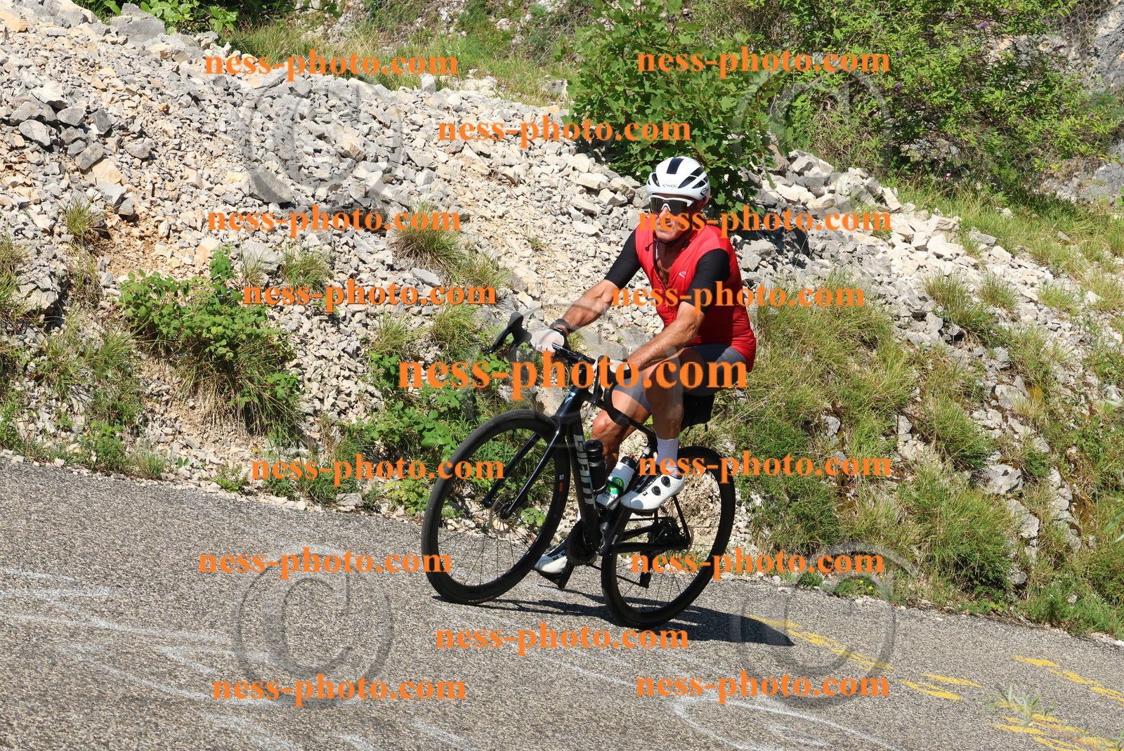 Col du Grand Colombier (231).JPG