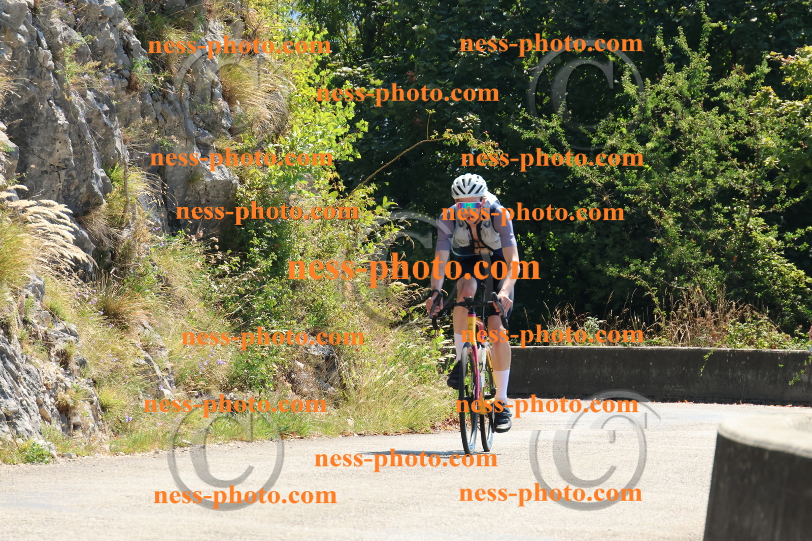 Col du Grand Colombier (257).JPG