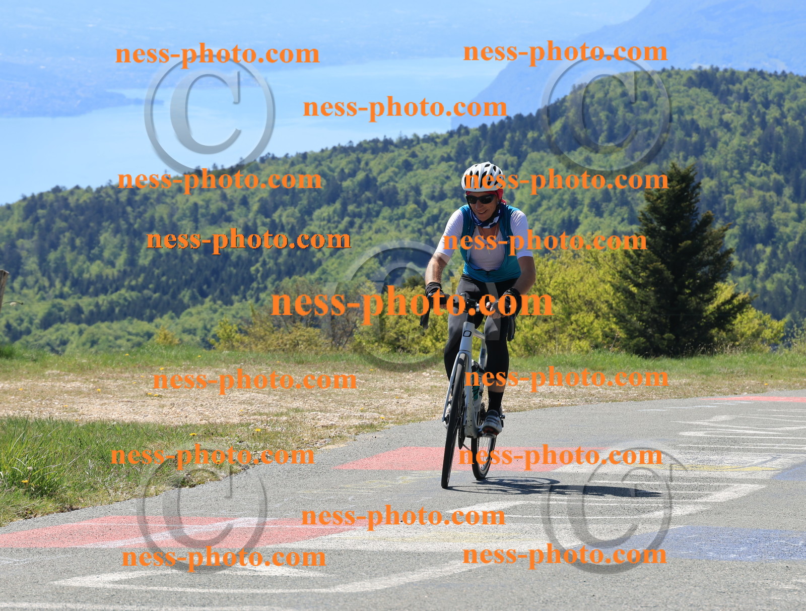 Col du grand Colombier (37).JPG