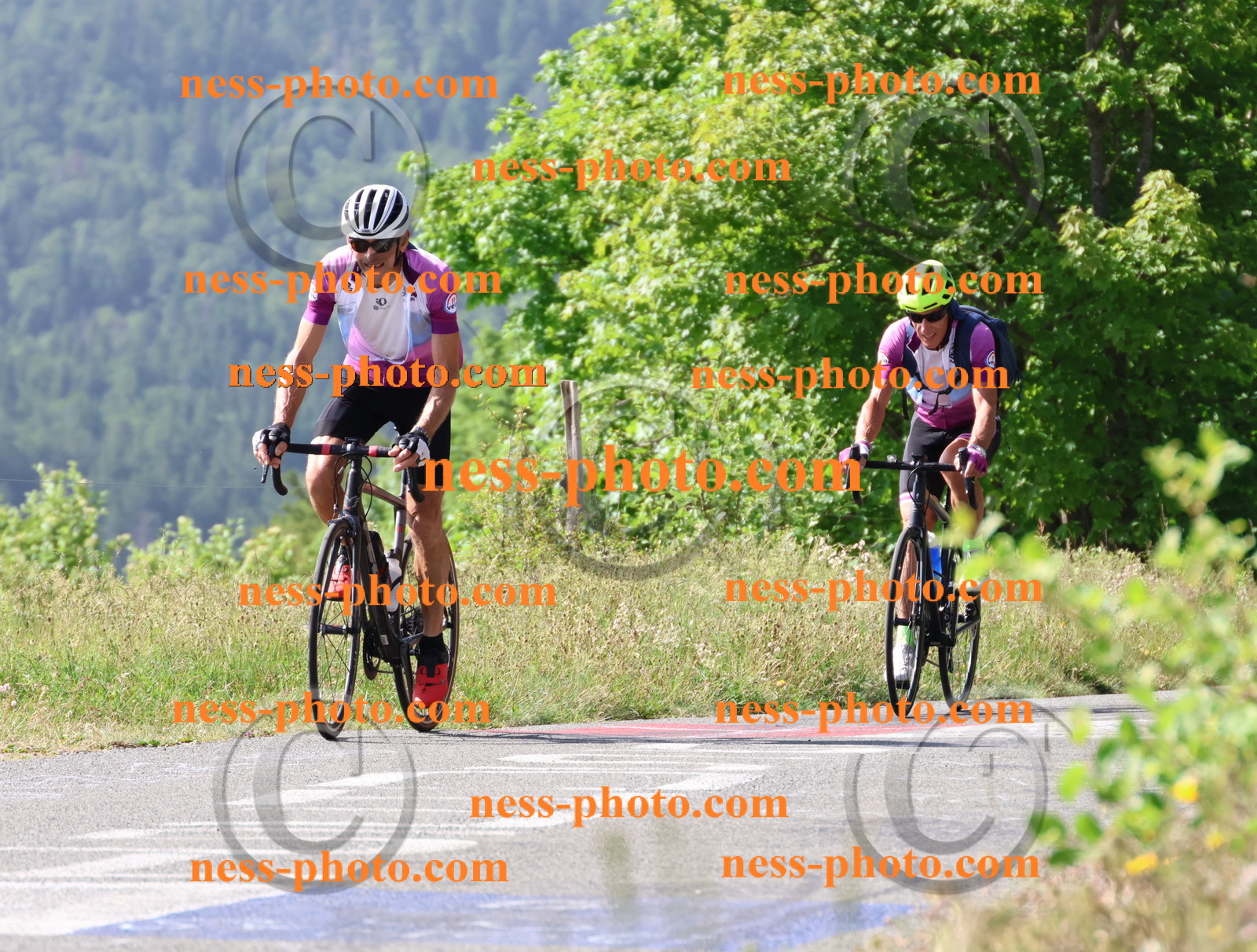 Col du grand Colombier (413).JPG