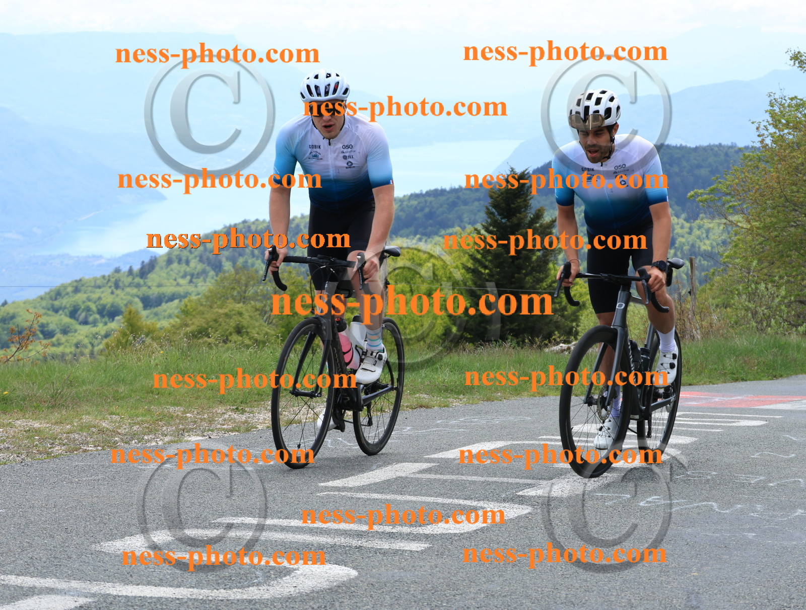 Col du Grand Colombier (473).JPG