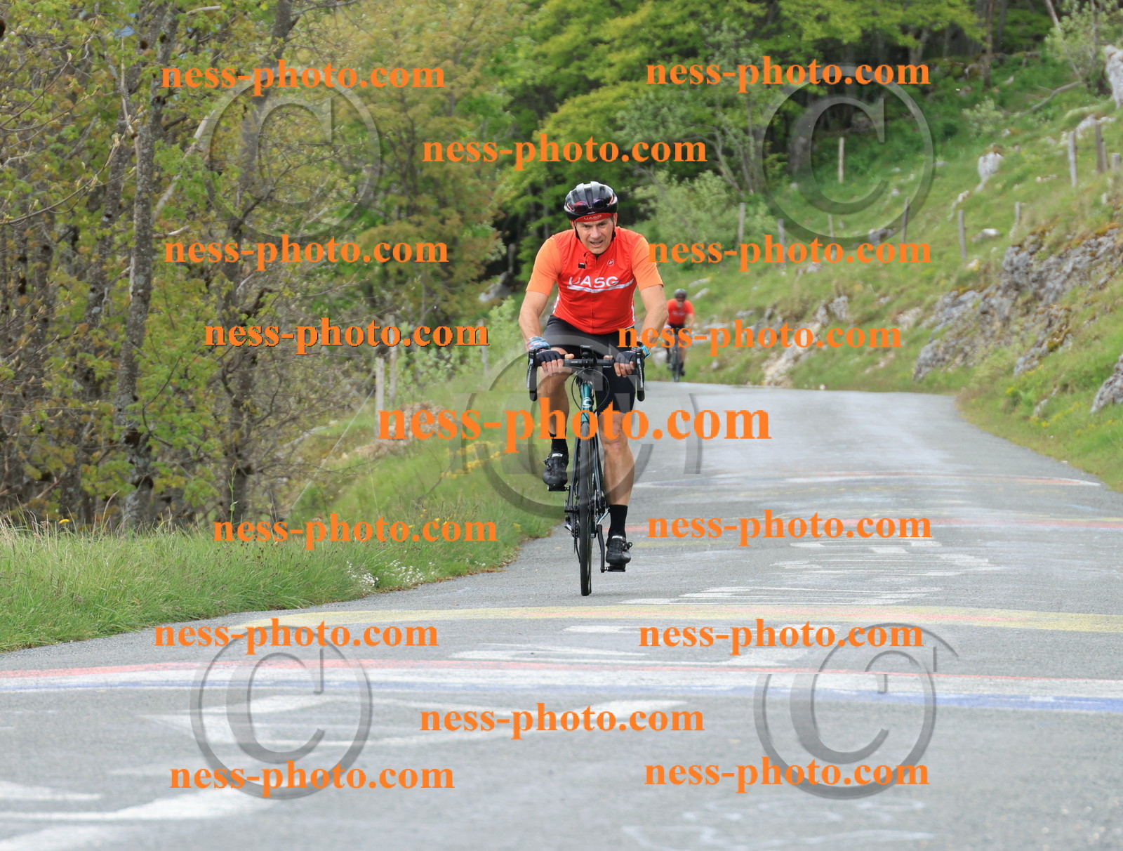 Col du Grand Colombier (608).JPG