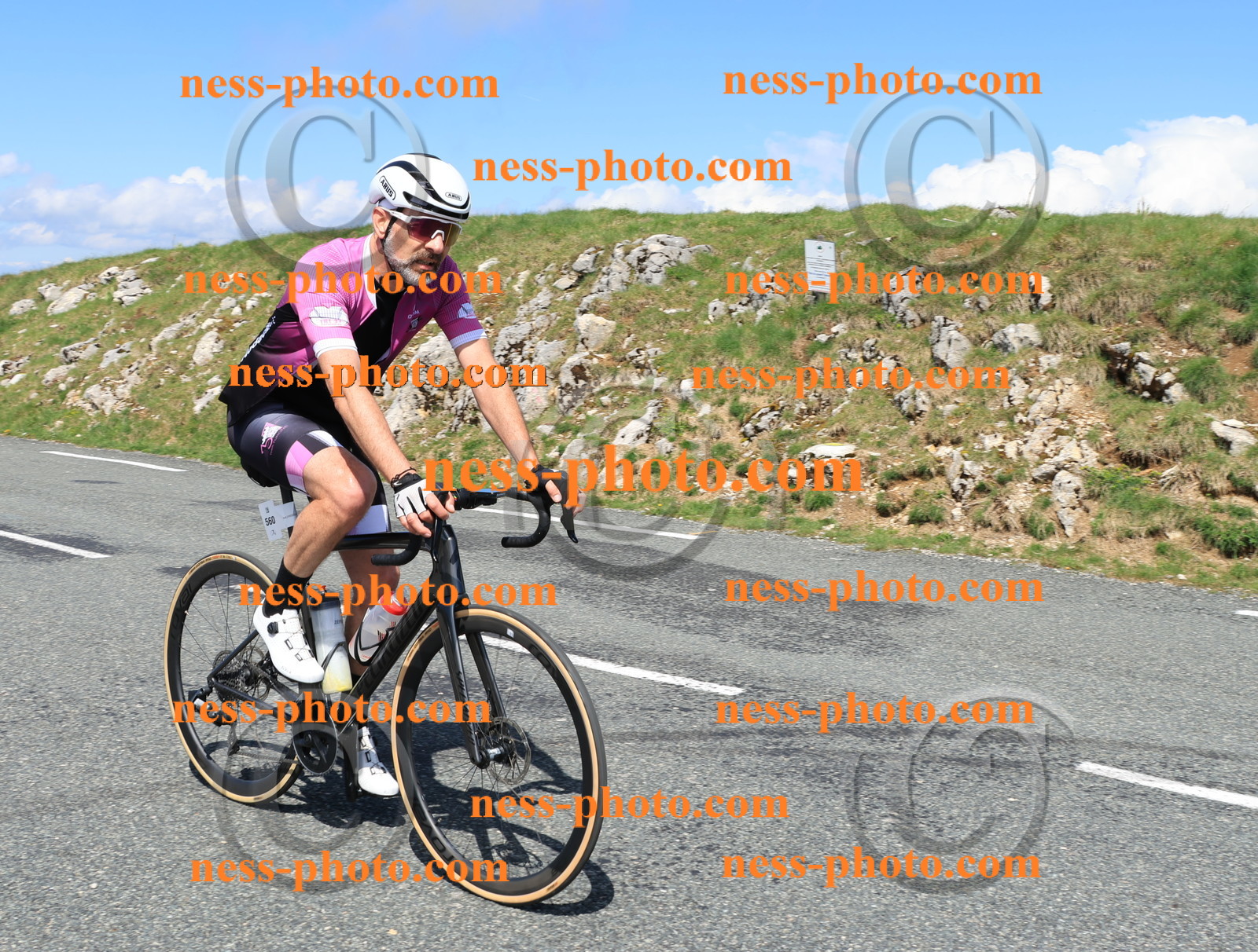 Col du Grand Colombier (1053).JPG