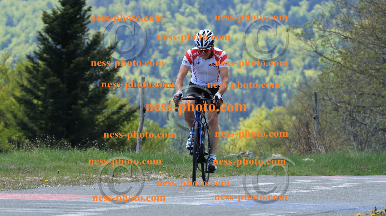 Col du grand Colombier (170).JPG