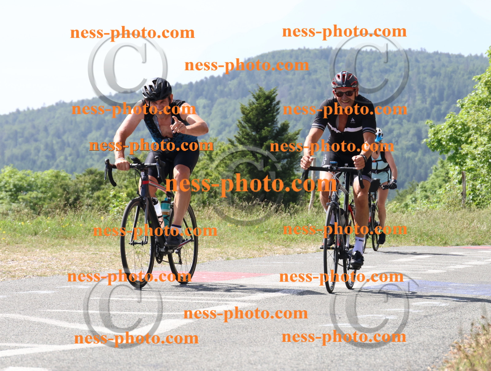 Col du grand Colombier (1122).JPG