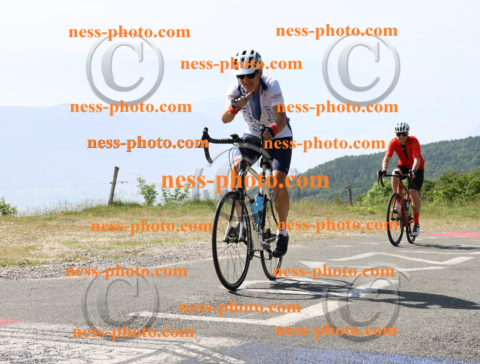 Col du grand Colombier (479).JPG