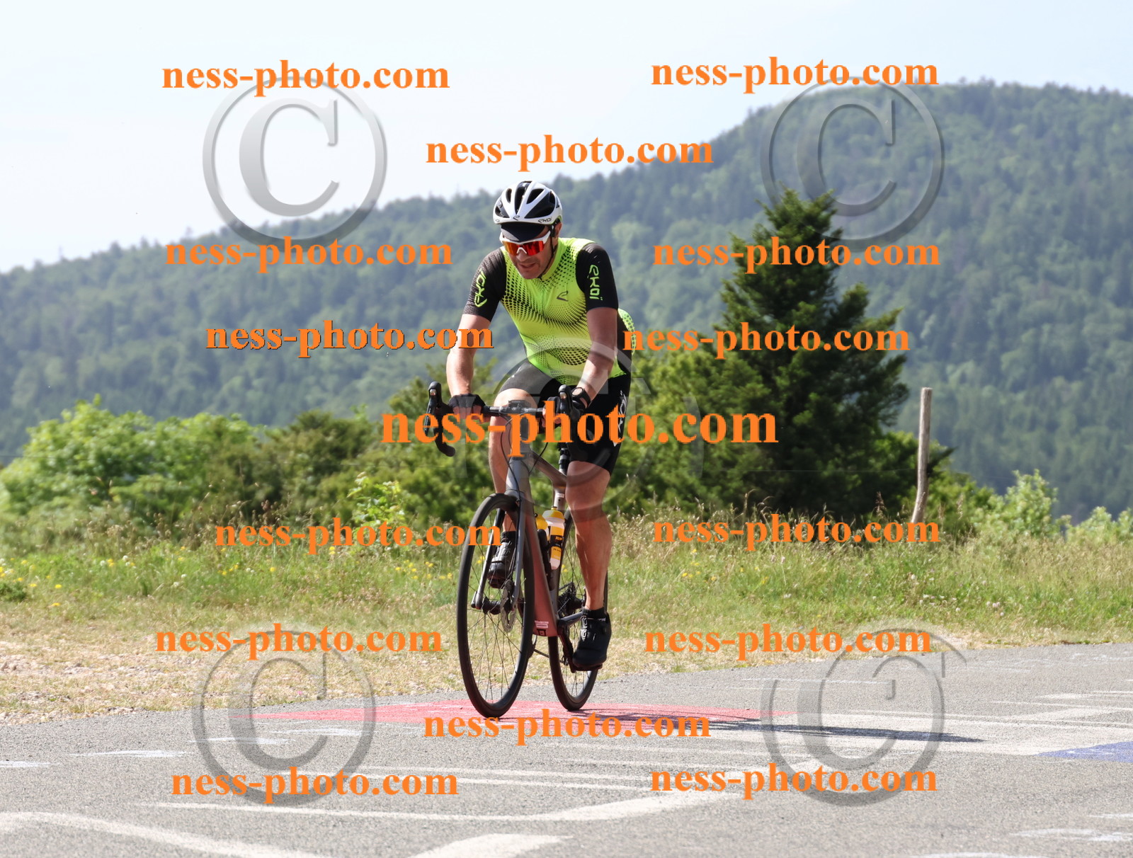 Col du grand Colombier (879).JPG