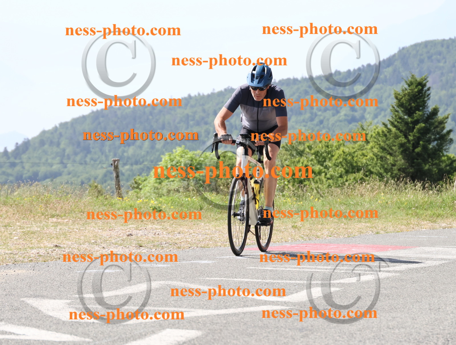 Col du grand Colombier (828).JPG