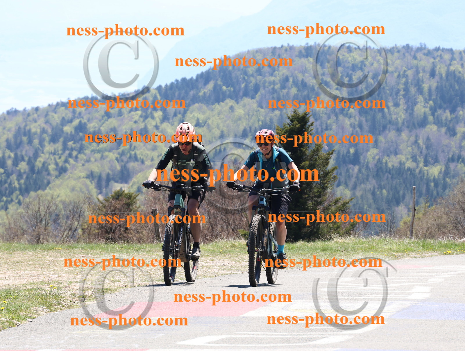 Col du Grand Colombier (736).JPG