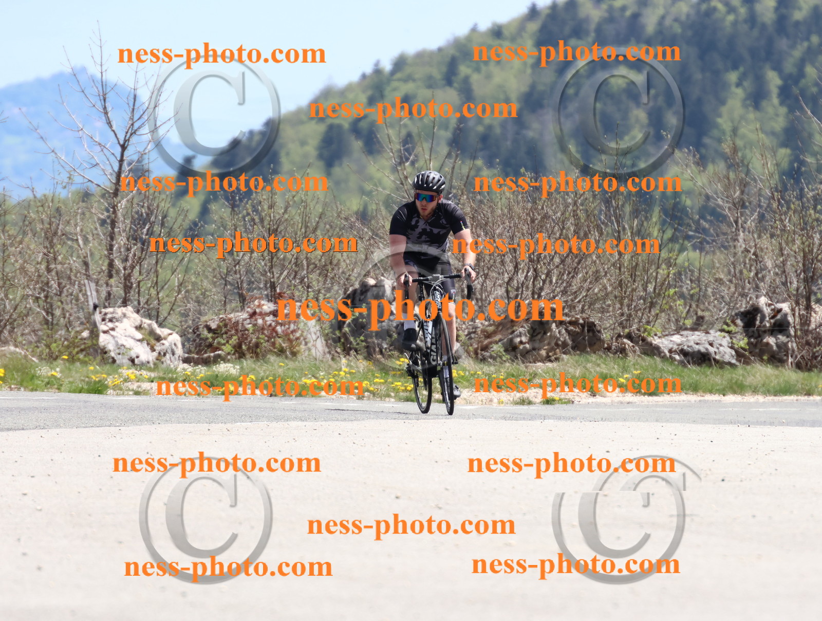 Col du Grand Colombier (797).JPG