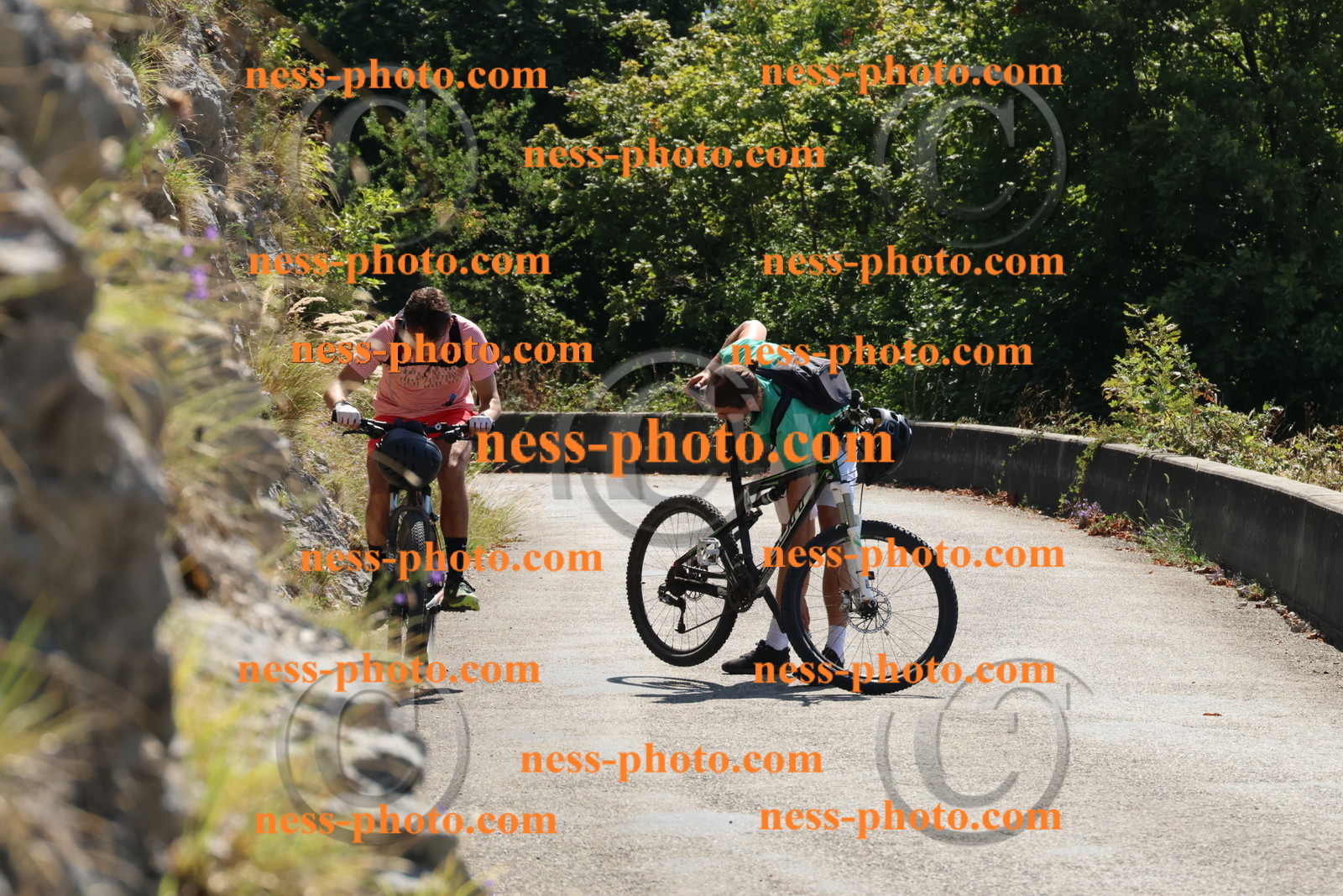 Col du Grand Colombier (229).JPG