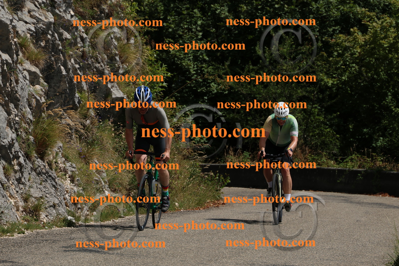 Col du Grand Colombier (384).JPG