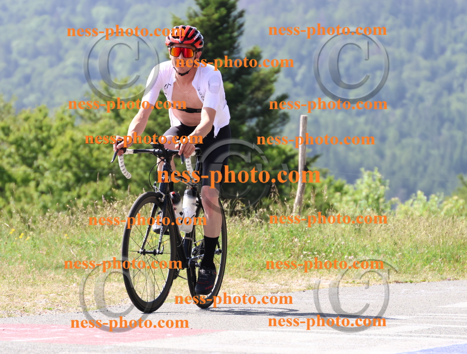 Col du grand Colombier (1084).JPG