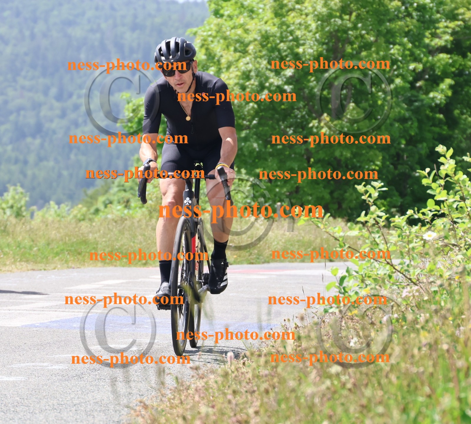 Col du grand Colombier (2077).JPG