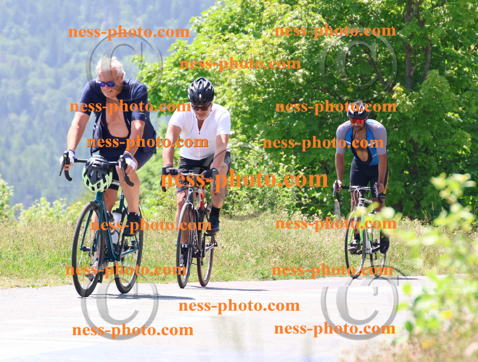 Col du grand Colombier (2643).JPG