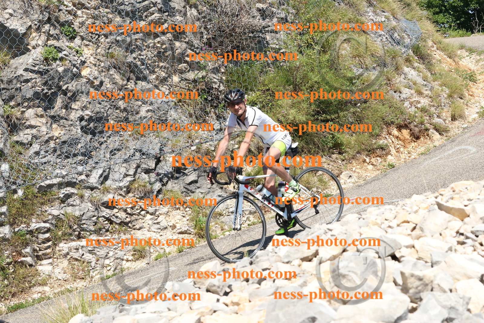 Col du Grand Colombier (596).JPG