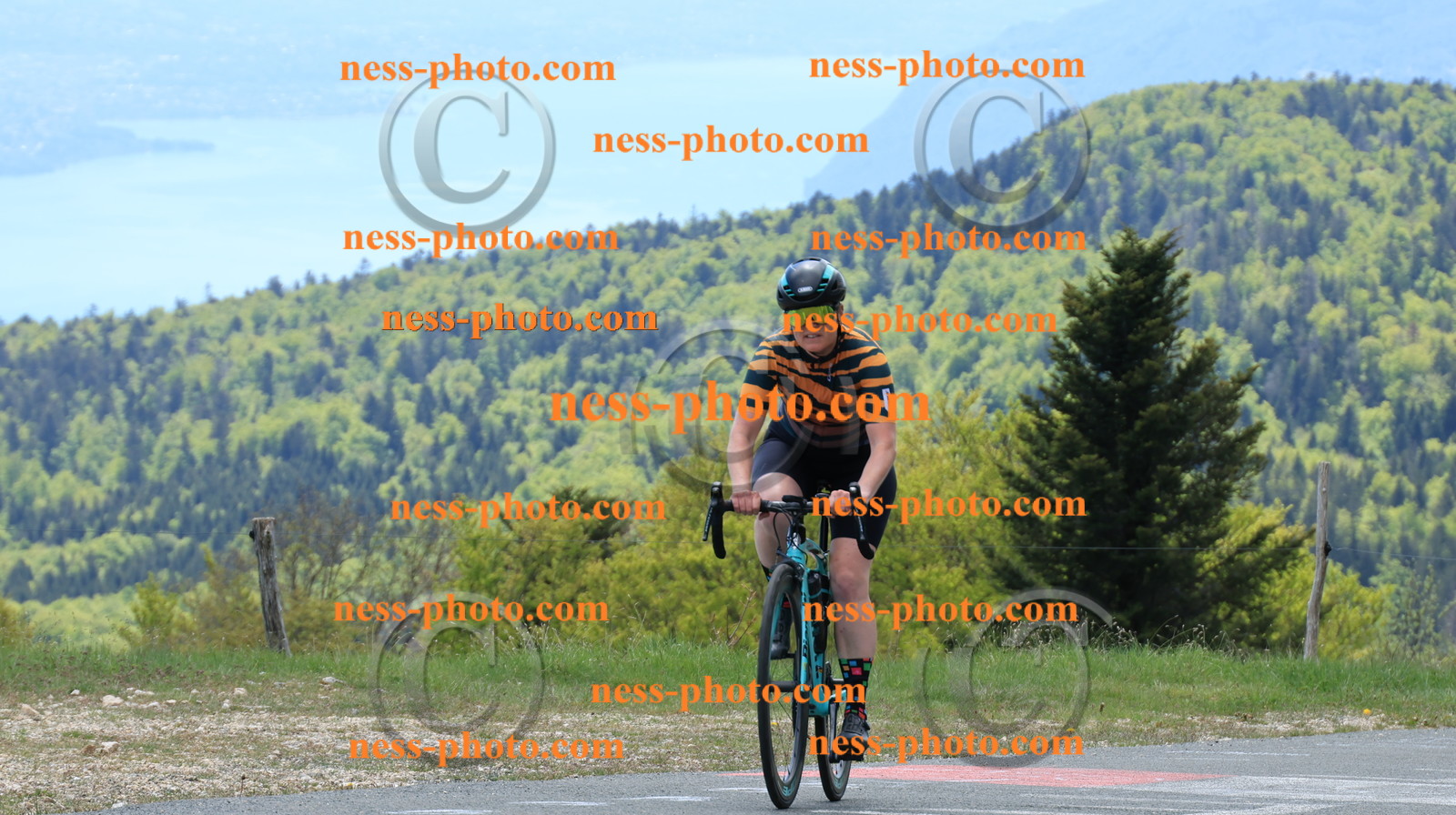 Col du grand Colombier (347).JPG