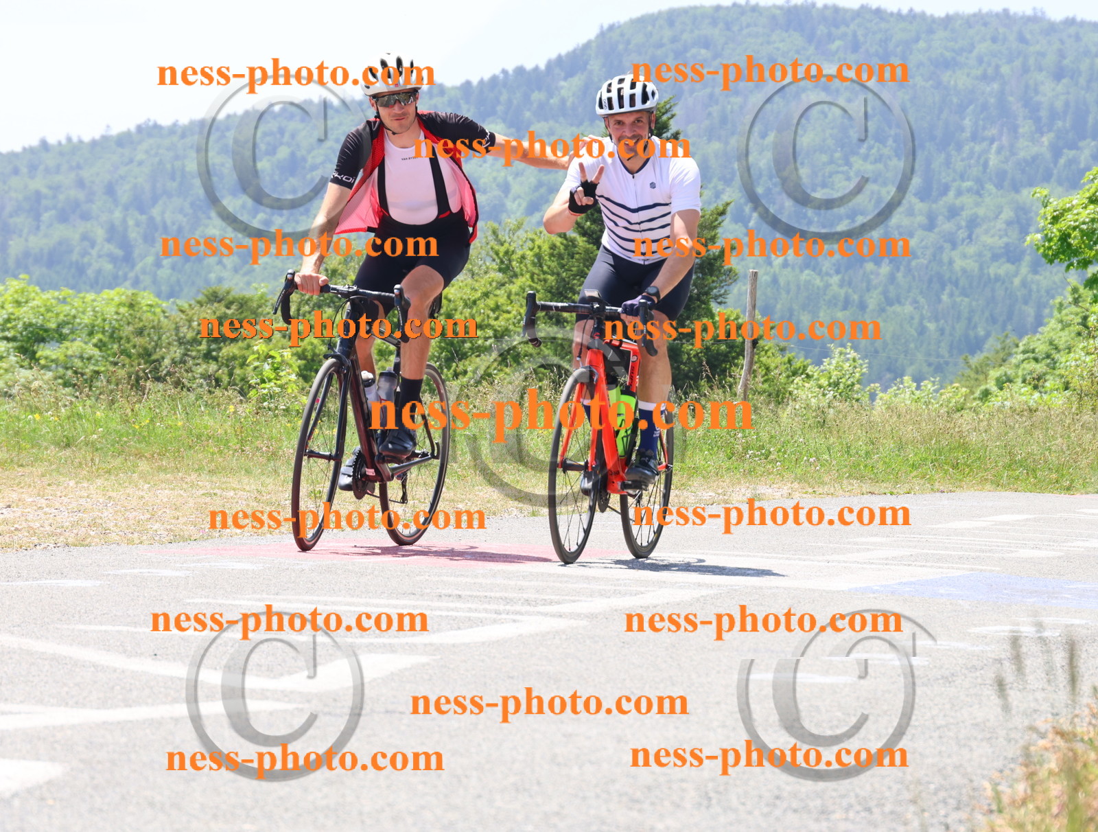 Col du grand Colombier (2596).JPG