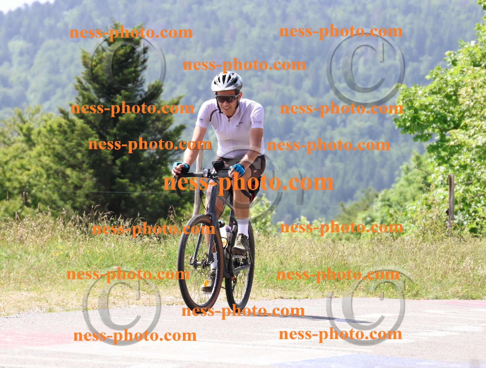 Col du grand Colombier (1571).JPG