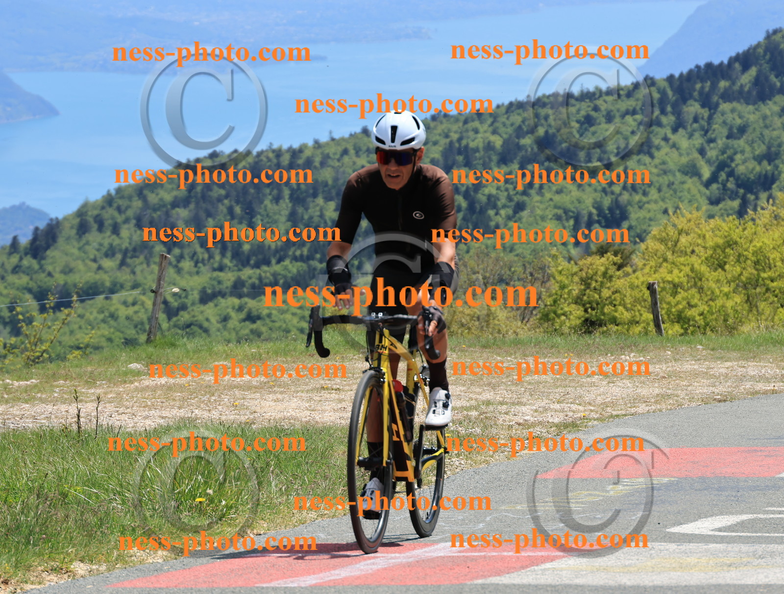 Col du Grand Colombier (503).JPG