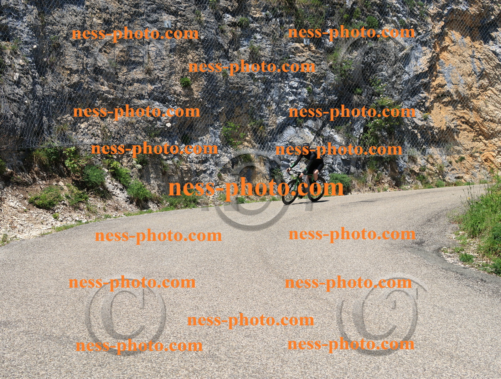 Col du Grand Colombier (664).JPG