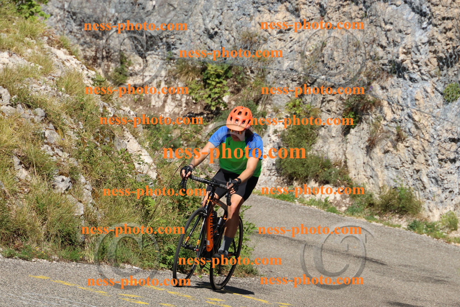 Col du Grand Colombier (177).JPG