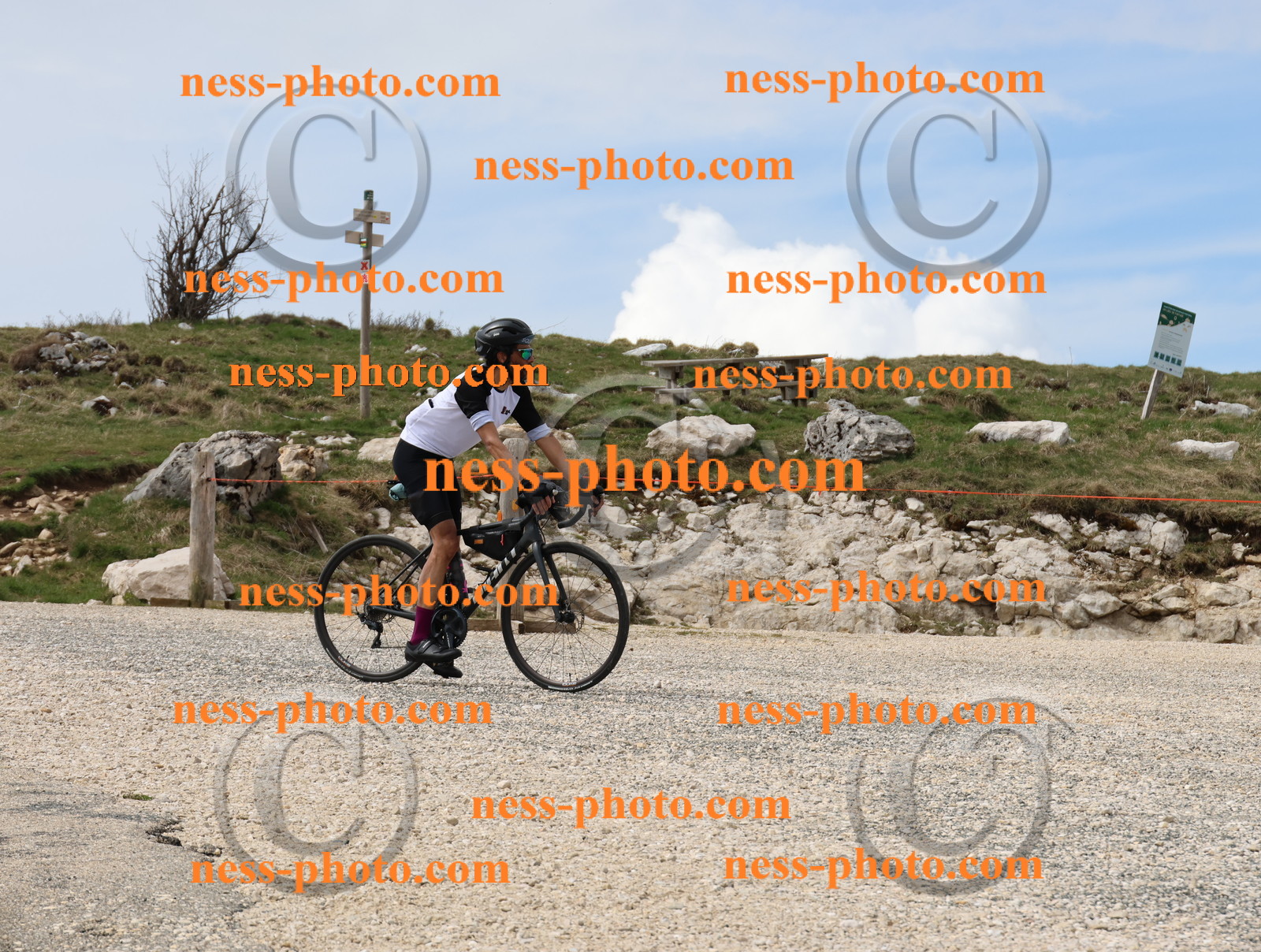 Col du Grand Colombier (391).JPG