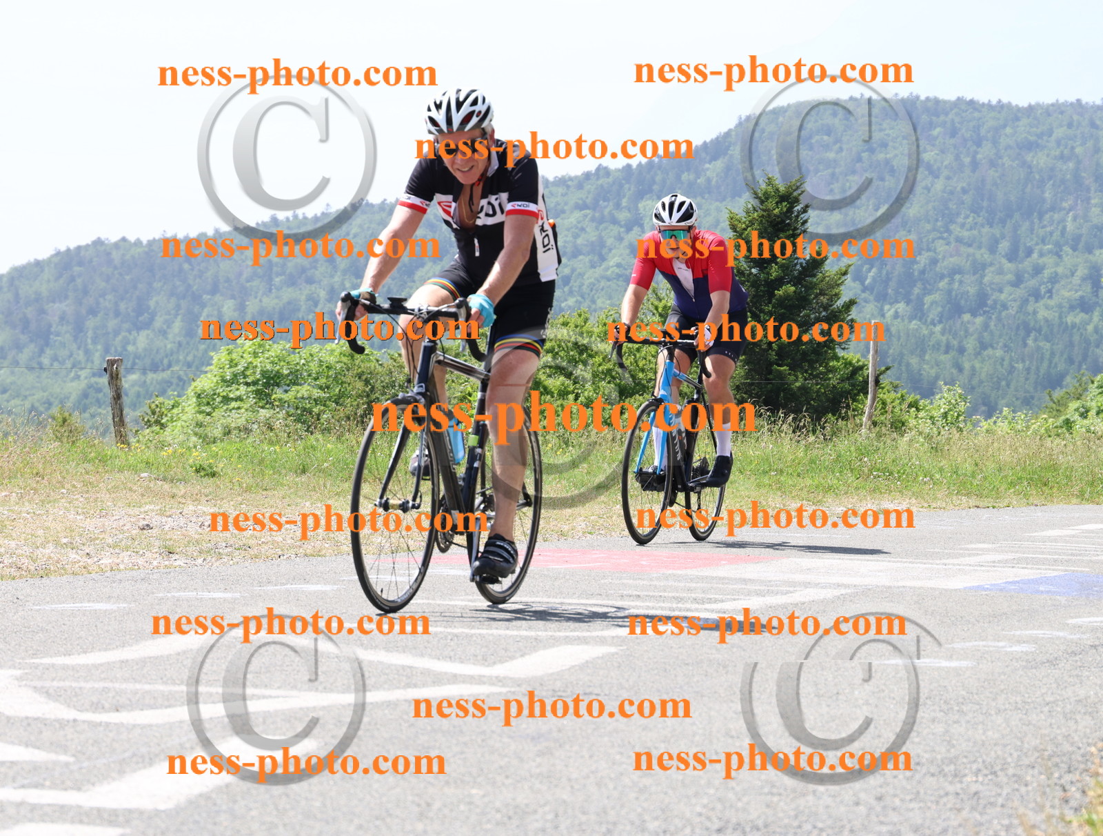 Col du grand Colombier (1599).JPG