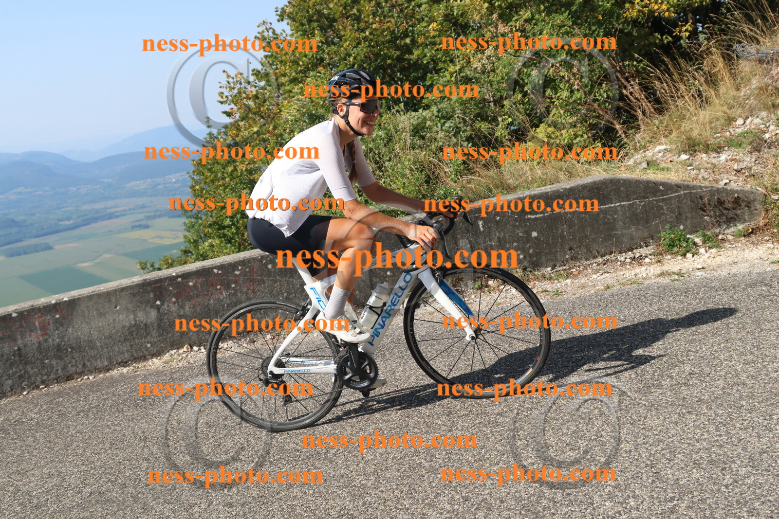 Col du Grand Colombier (2605).JPG