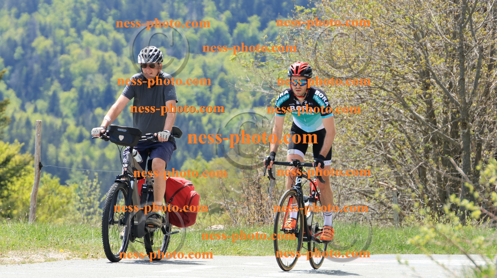 Col du grand Colombier (333).JPG