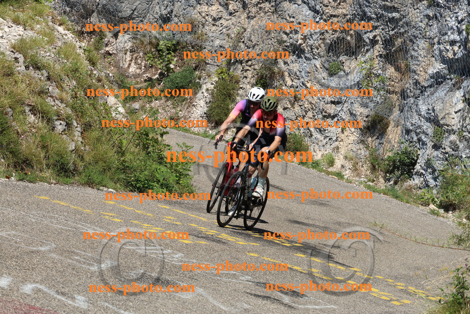 Col du Grand Colombier (536).JPG