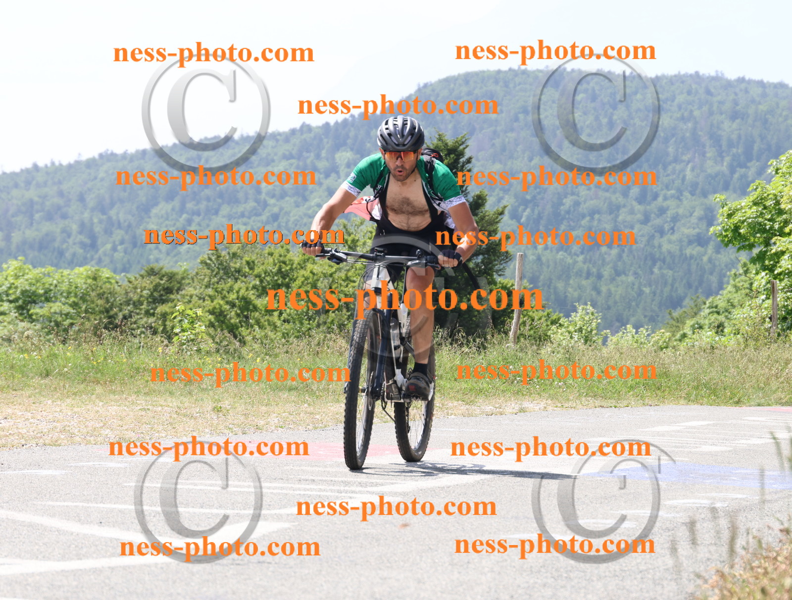 Col du grand Colombier (2040).JPG