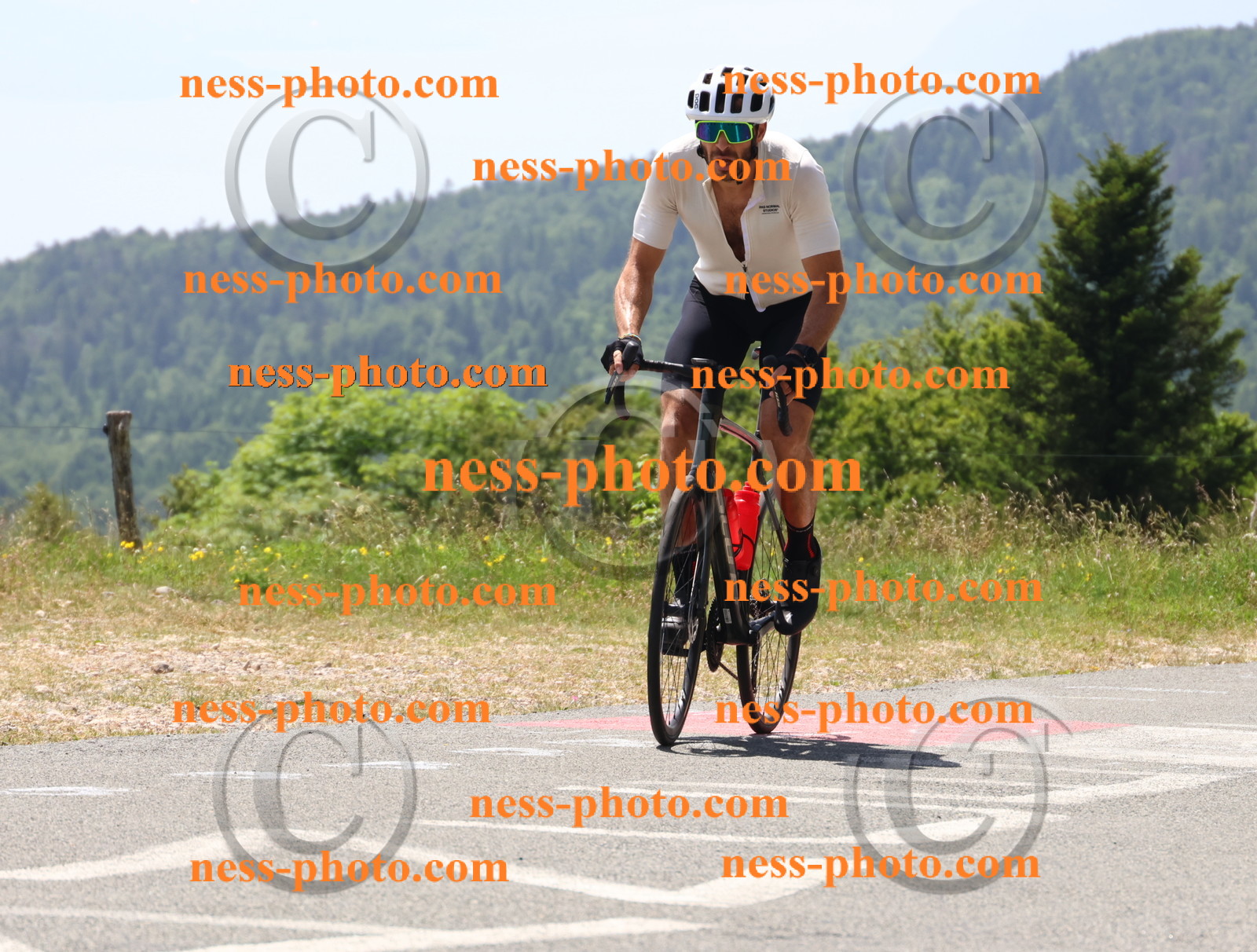 Col du grand Colombier (2529).JPG