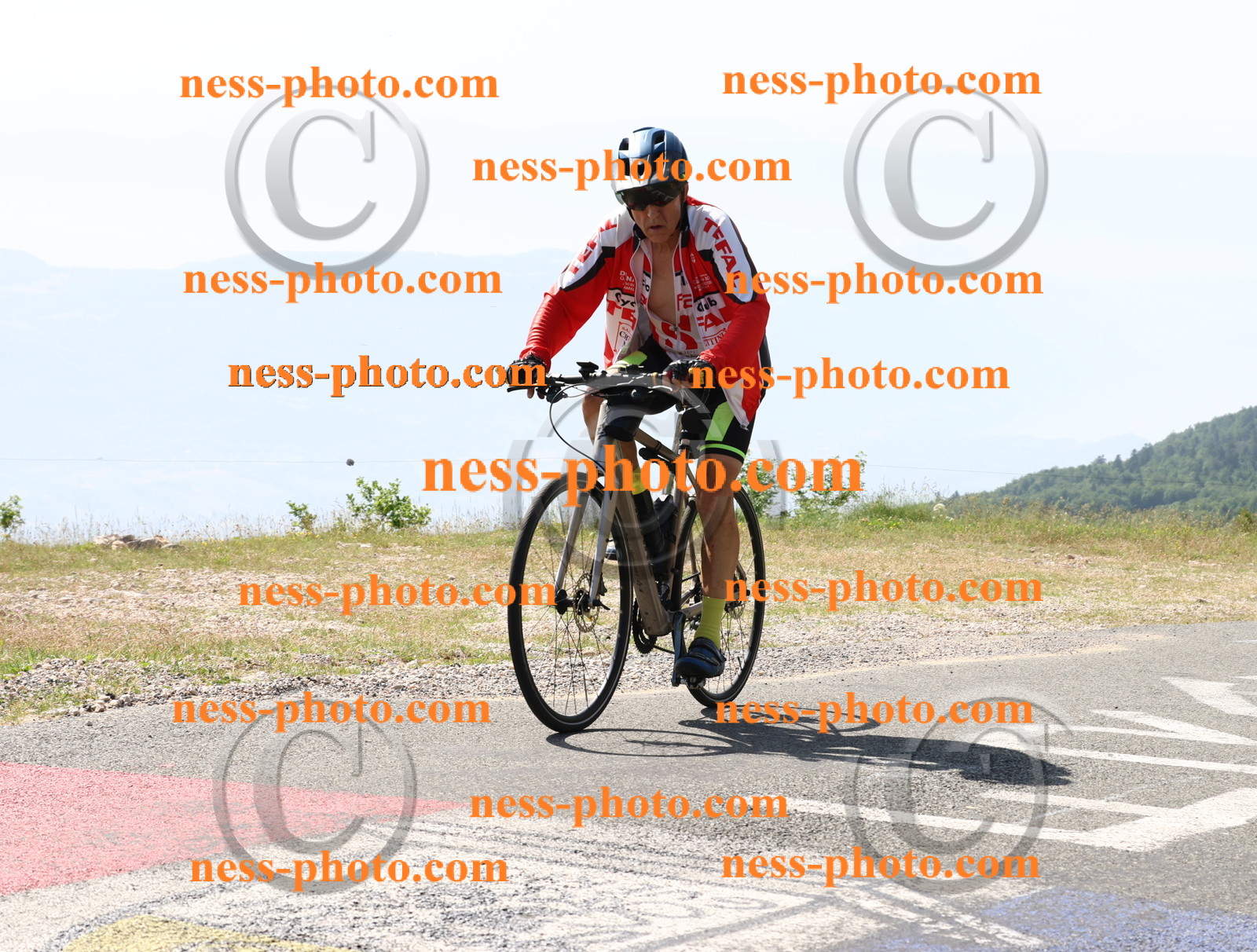 Col du grand Colombier (903).JPG