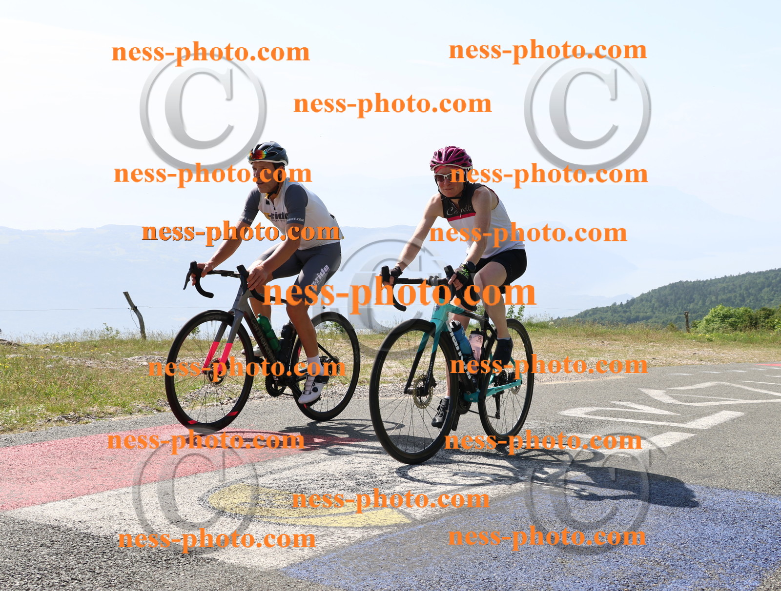 Col du grand Colombier (892).JPG