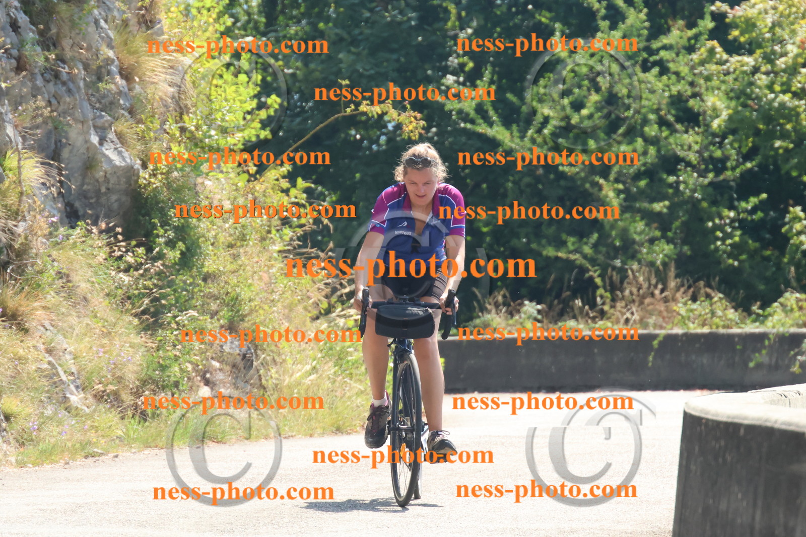 Col du Grand Colombier (3189).JPG