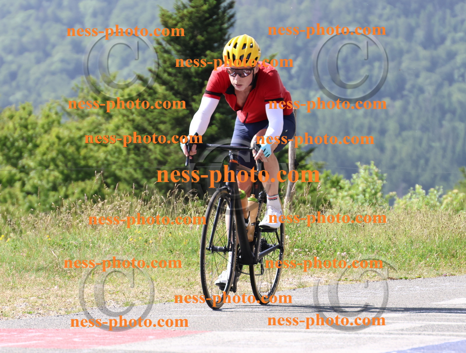 Col du grand Colombier (742).JPG