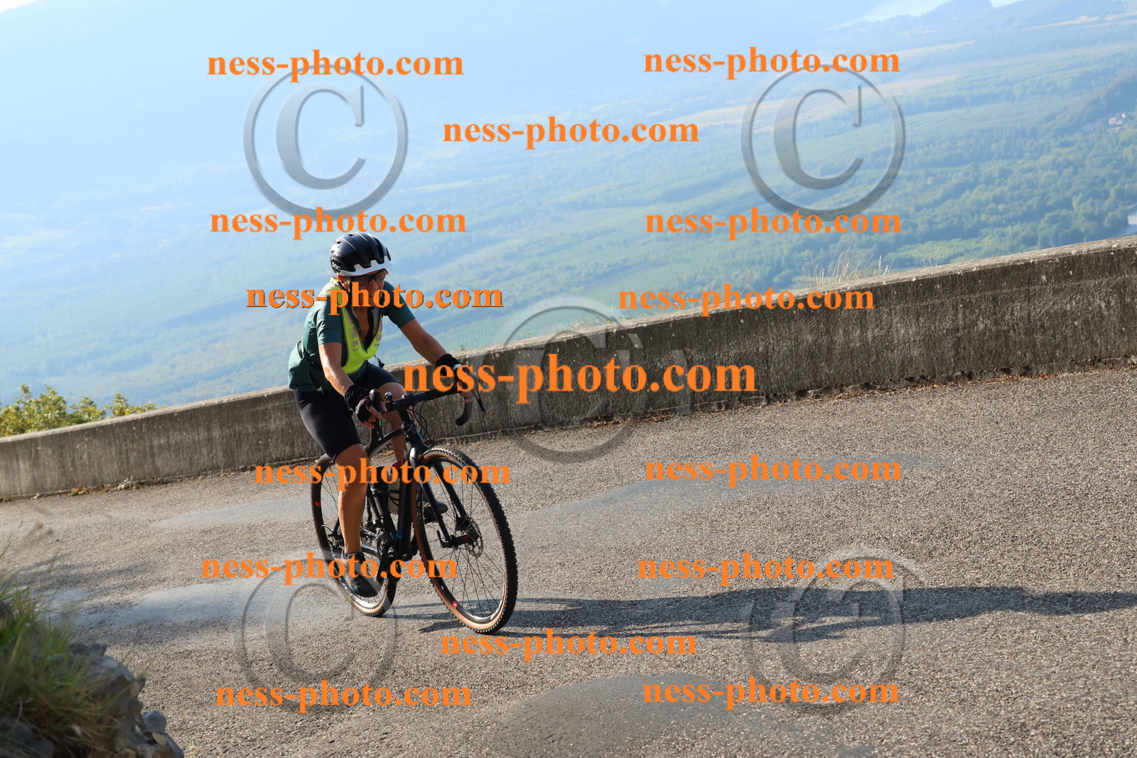 Col du Grand Colombier (517).JPG