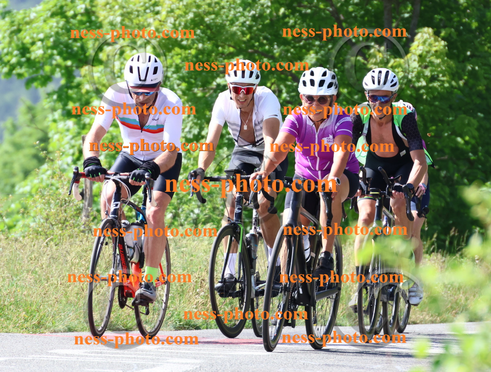 Col du grand Colombier (607).JPG