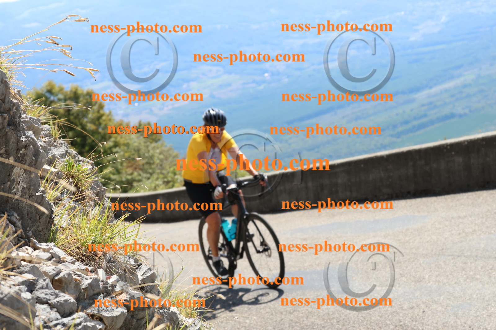 Col du Grand Colombier (494).JPG