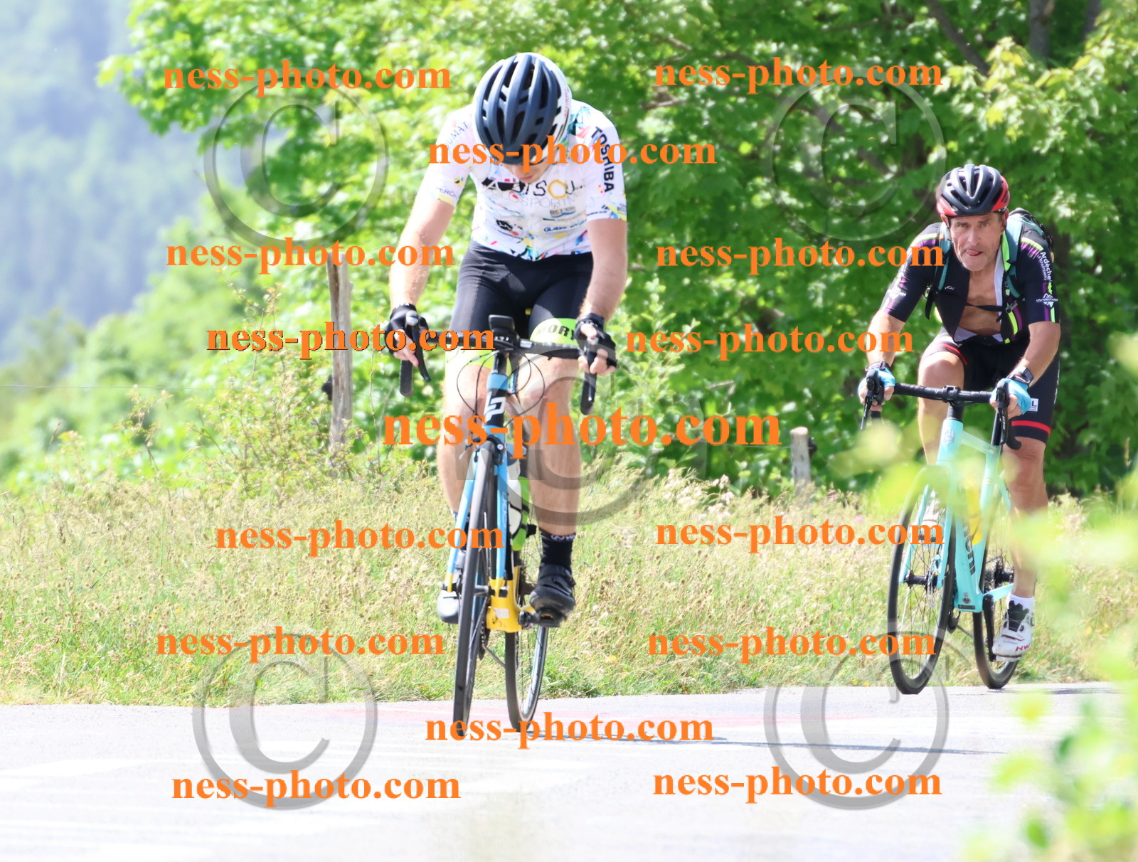 Col du grand Colombier (1475).JPG